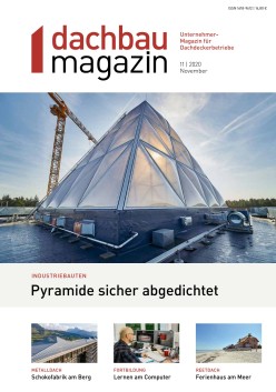 dachbau magazin 11/2020 Digital 